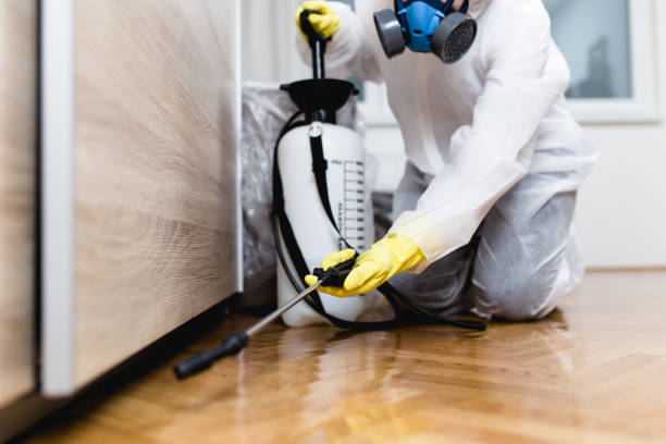 Best Pest Control Near Me  in Monte Alto, TX