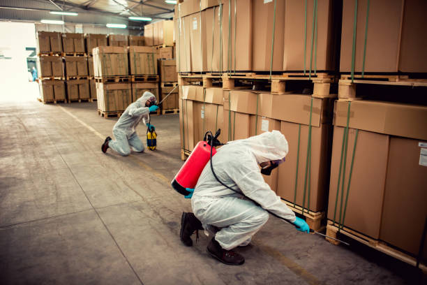 Best Wasp Removal Services  in Monte Alto, TX