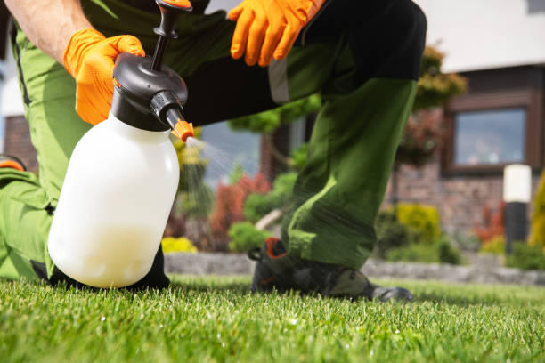 Best Pest Control Near Me in Monte Alto, TX