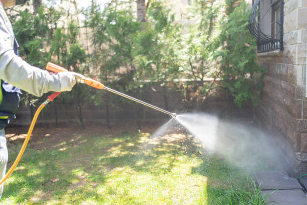 Best Exterminator Services  in Monte Alto, TX