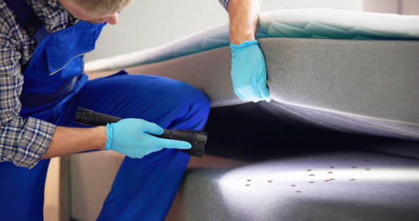 Best Termite Control Services  in Monte Alto, TX