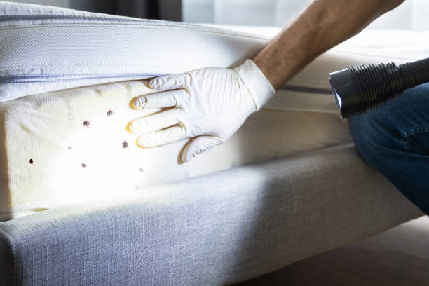 Pest Control for Restaurants in Monte Alto, TX