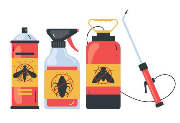 Best Spider Control Near Me  in Monte Alto, TX